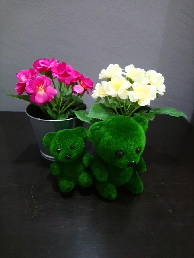 Jb Homestay Bukit Indah Wifi Ciq Mall Legoland Free Parking Johor Bahru Exteriör bild